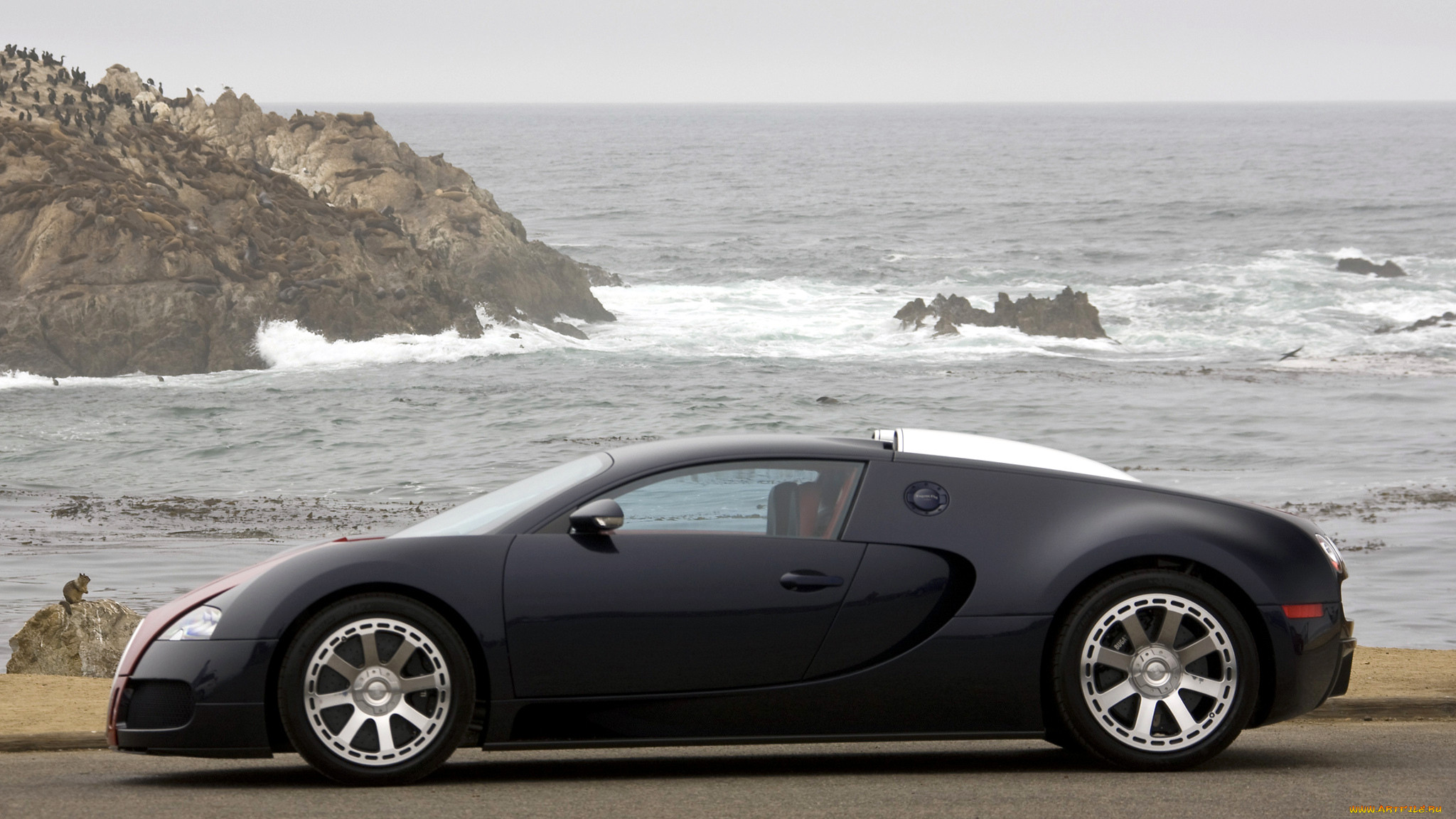 bugatti, veyron, , , automobiles, s, a, 